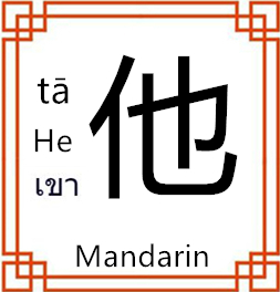 中间展示图片