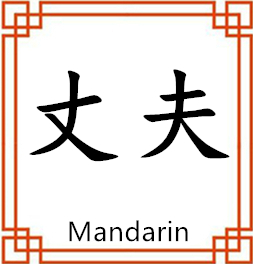 中间展示图片