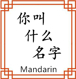 中间展示图片
