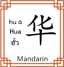 中间展示图片
