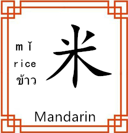 中间展示图片