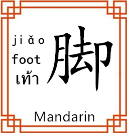 中间展示图片
